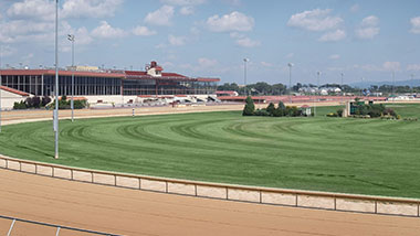 Charles Town Track Green
