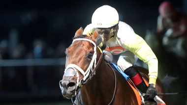 The horse Skippy Longstocking and Jockey Racing