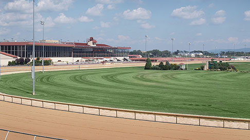 Charles Town Track Green