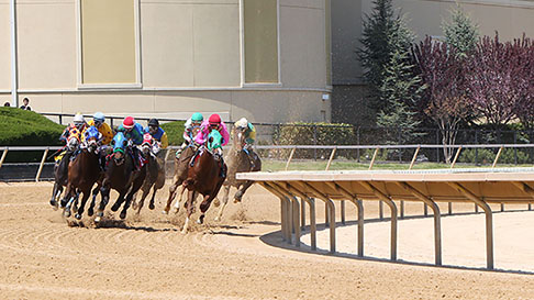 Race Track with Horses Charles Town