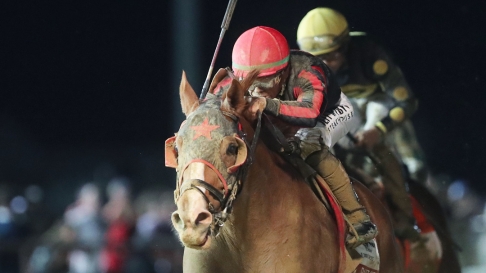 Jockey on a horse with night background