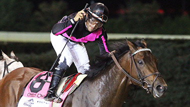 horse racing