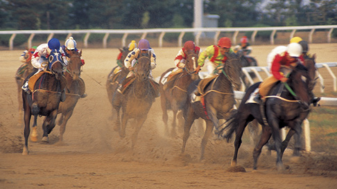 Horses and jockeys racing on track