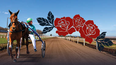 Run for the Roses Kiosk Game
