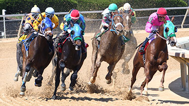 Four main horses on a turn in the race track