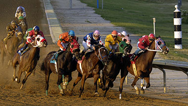Horses racing on the track at dusk
