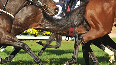 horse racing